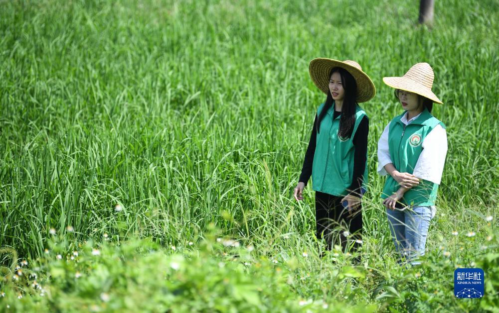 手机赌场游戏下载