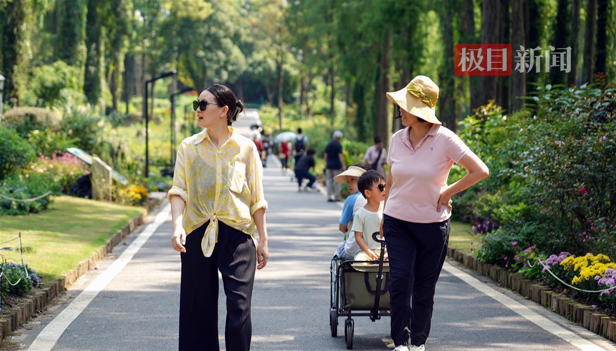 美高梅公司